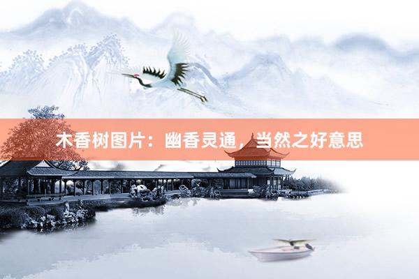 木香树图片：幽香灵通，当然之好意思